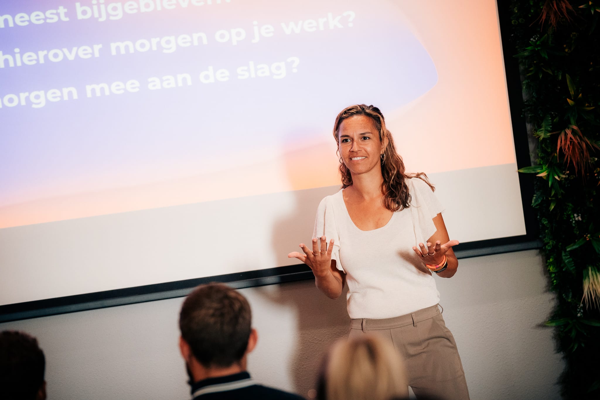 maakt visueel
